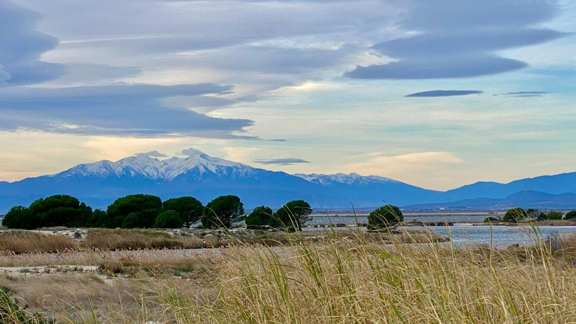 Entre Lac, Mer Et Montagne Le Barcarès Exteriör bild